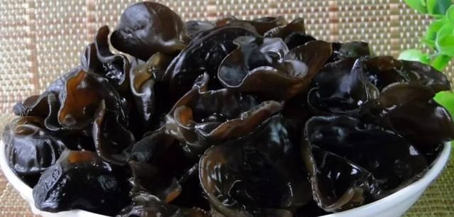  『露天』木耳种植难度大，温度湿度要控制，采摘也要注意咋办？