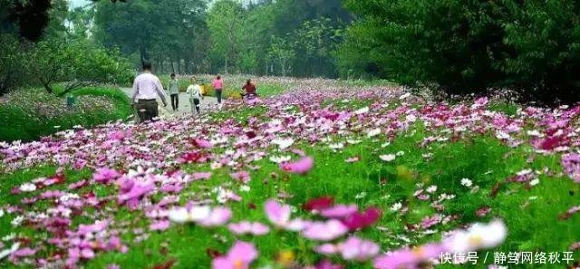 刚刚! 厦门被重新定位…一句话说尽了厦门人的现状!