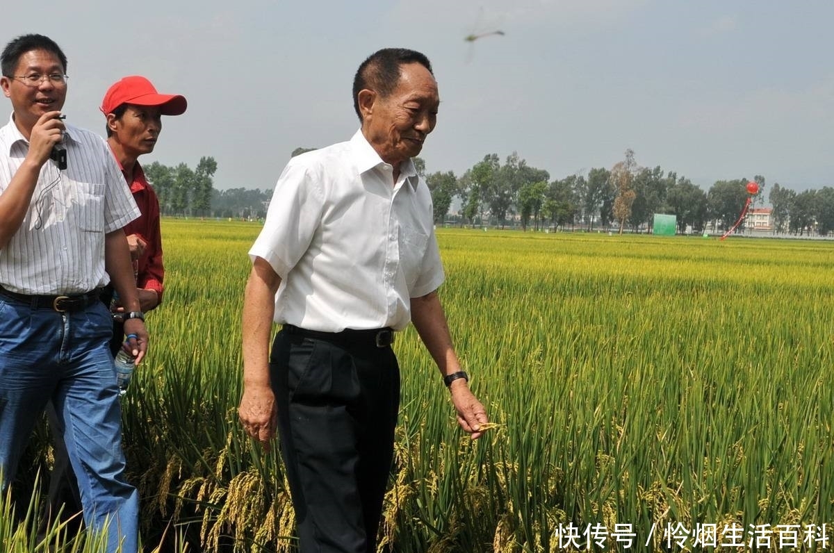 袁隆平教授连说两句“不可能了”，网友泪奔，而农民更关心这句话