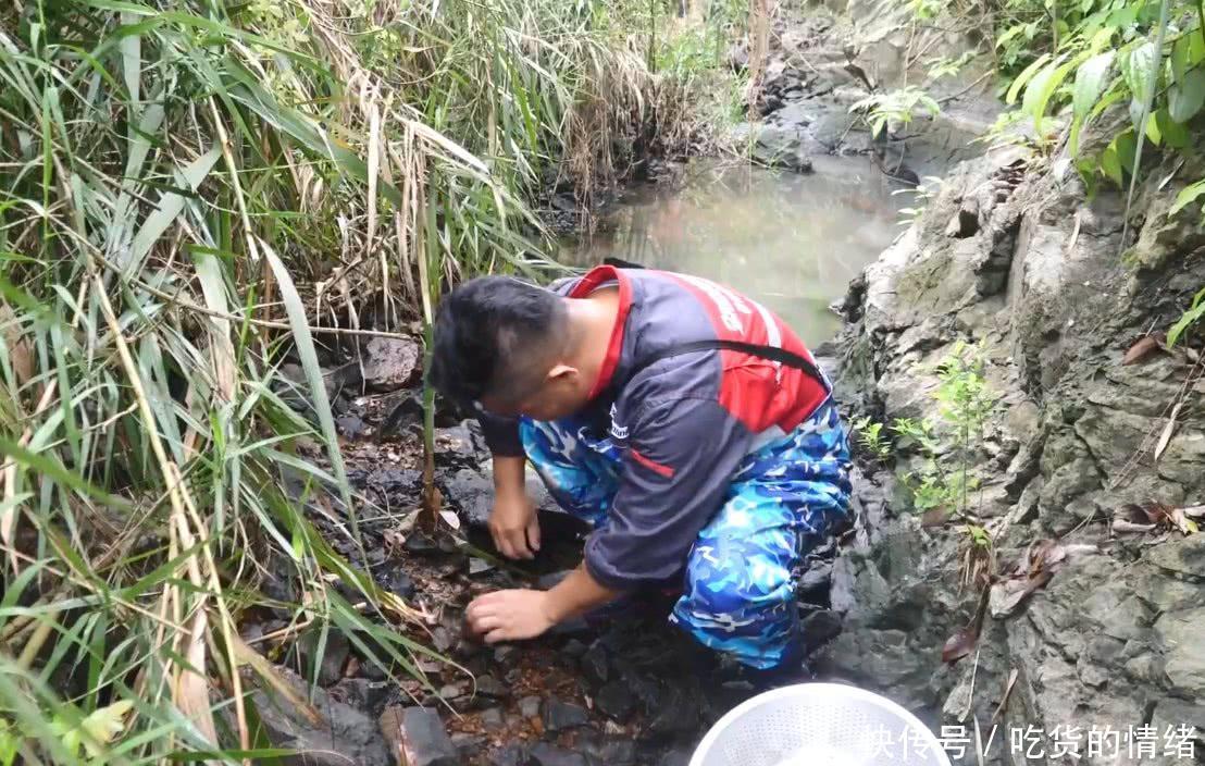 几十米的河道被小伙截流了，在里面肆无忌惮地抓野味，收获几十只