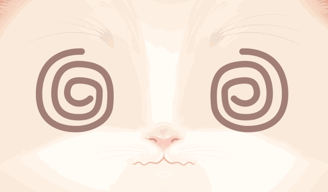 提醒洪江人小心了！怀化有人在国际商贸城被自称是香港人的男人骗