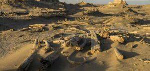 楼兰古国消失原因探索，一夜之间全城荒废