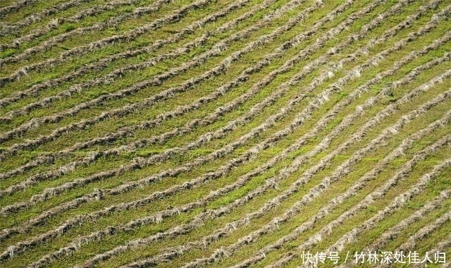 跟着哈萨克族牧民上山打草，体验哈萨克族生活，感受新疆秋季魅力