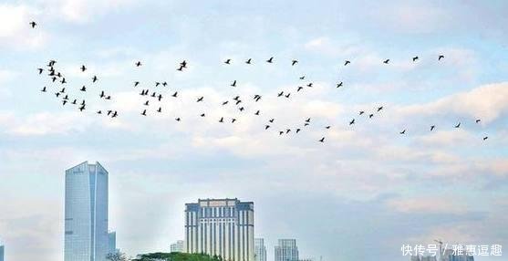 广东将崛起一座新“高铁枢纽”城市, 不是佛山, 也不是东莞