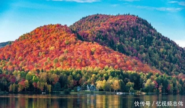 世界赏枫高阶指南｜日本与加拿大到底去哪一个