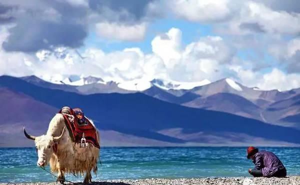 太全了，国内最美28条自驾路线，绝对要收藏起来！