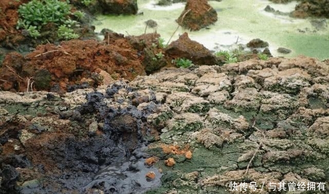  [提高农村]2020年农村土地整治范围扩大，针对四类土地清理，两