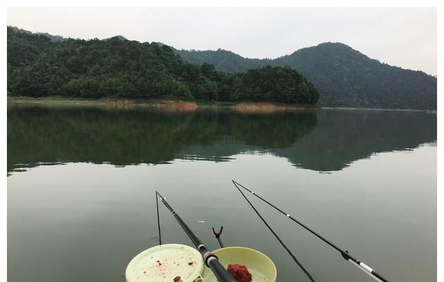  『水面』根据水面大小选长短竿？不需要，有时打破常规反而是提升渔获关键