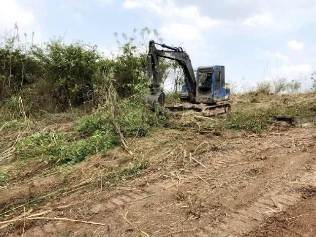  『模式』从“烫手”到“抢手”，蓬溪县明月镇“四耕”模式“唤醒”两千亩撂荒地