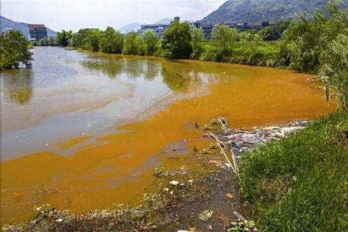  [河道]灌溉河道流速较快、有水草，怎么挑选藏鱼的好钓位