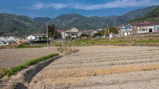  补贴：好消息！2019年农民不种地也能拿补贴了，最少拿1000元，