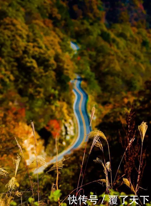 安徽旅游:大山深处一抹红,马丁公路、马鬃岭秋色美翻了