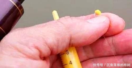 『试试』春季钓鲫鱼,这些自制窝料饵料配方可以试试,比商品饵更好使!