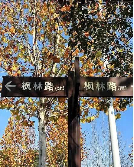 骑行经过安徽这条路，秋色正浓，犹如看公路大片