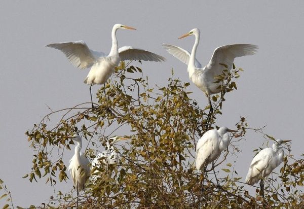 独自去额济纳旅游，如何玩才能让旅途的性价比最高