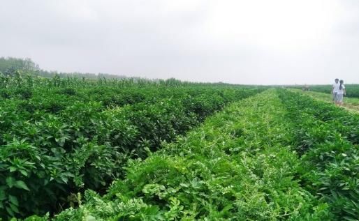 不想辛辛苦苦出去打工，那就选择这几种创业路子，让你轻松赚大钱