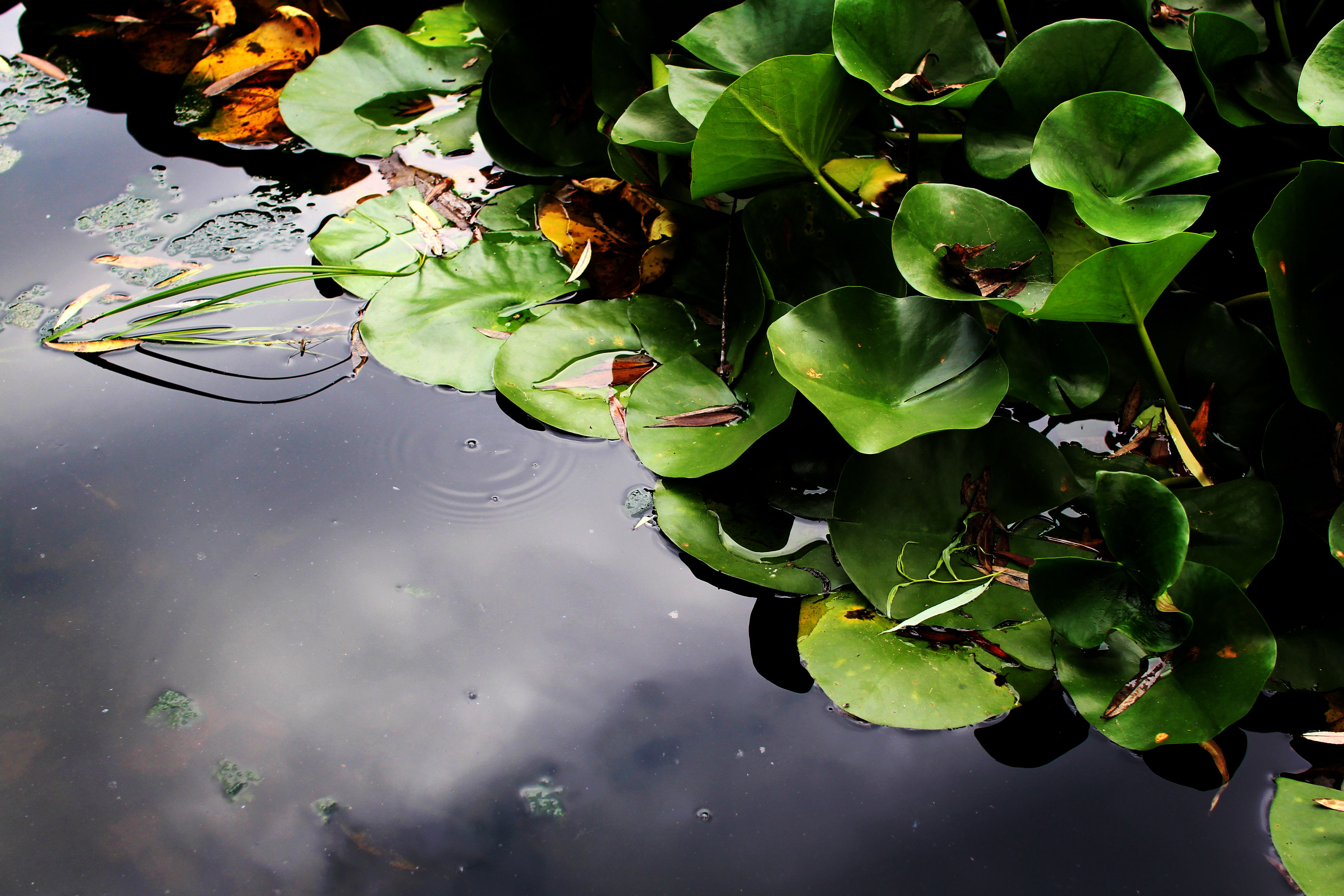 北京市区里:竟然有一座11层楼高佛像