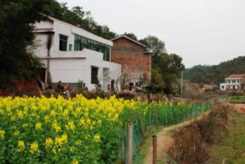  「农民家庭」下半年，农村或迎来4大整改，关系每个农民家庭，早