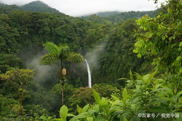 云南深山有一“奇石”，千万年屹立不倒，靠近才能发现“奥秘”！
