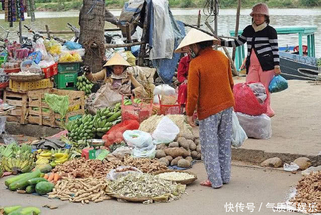 中国这是干啥使得越南百万农户被迫转行，网友却直言自食恶果