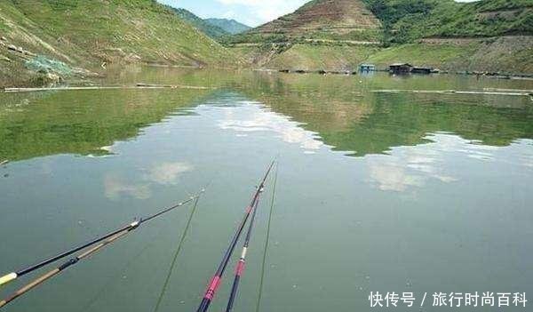 『解决』“春分”到小鱼闹,鲫鱼变得不好钓!巧用小鸡饲粒解决烦恼