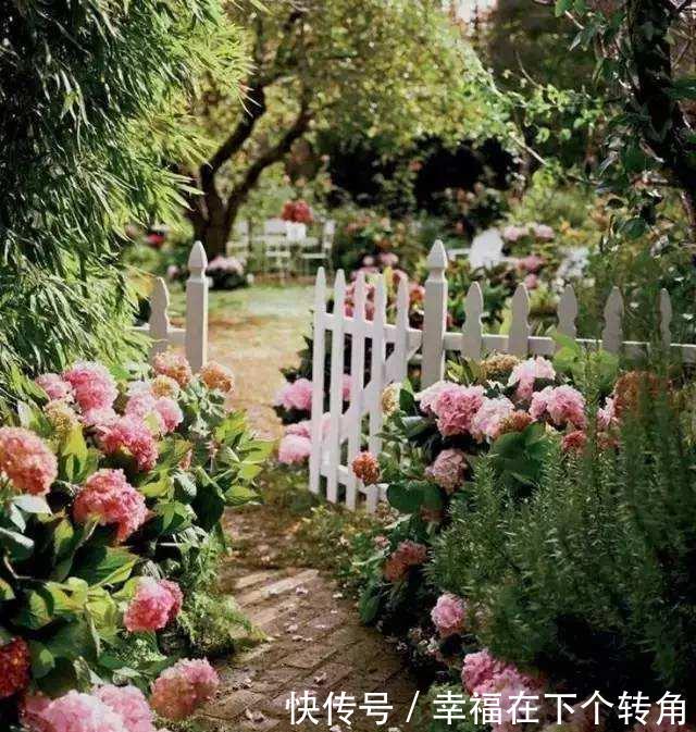  「快乐」篱笆小院住在乡村的快乐，你想体验吗！