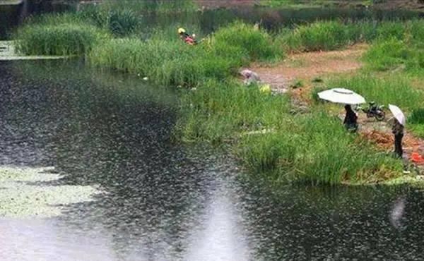  「气温」春季钓鱼抓规律，根据这些规律来钓鱼，想不爆护都难！
