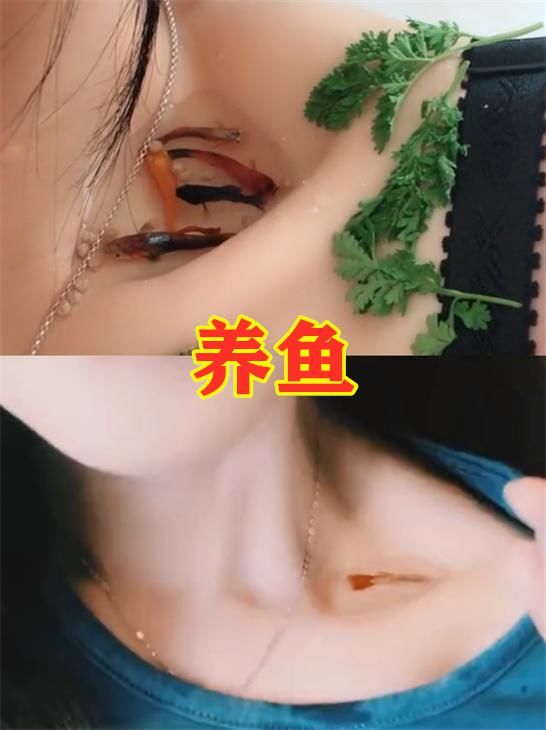 全网■全网都在“炫锁骨”?放硬币VS开瓶盖,看到草莓印:单身狗哭了!