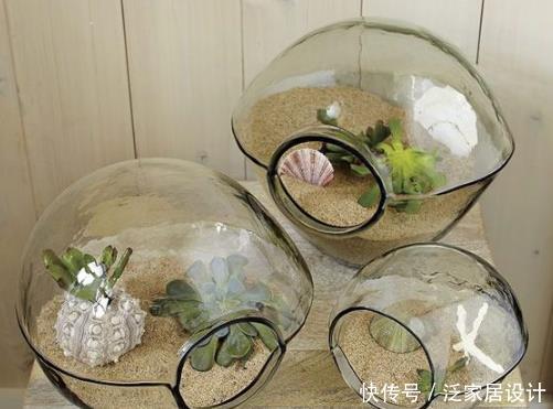  植物@变废为宝早知道，废弃玻璃瓶一个别扔，简单改造下还有大作用！