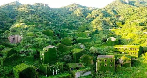 这才是人类消失后的真实世界，和你在电影里看到的完全不一样！