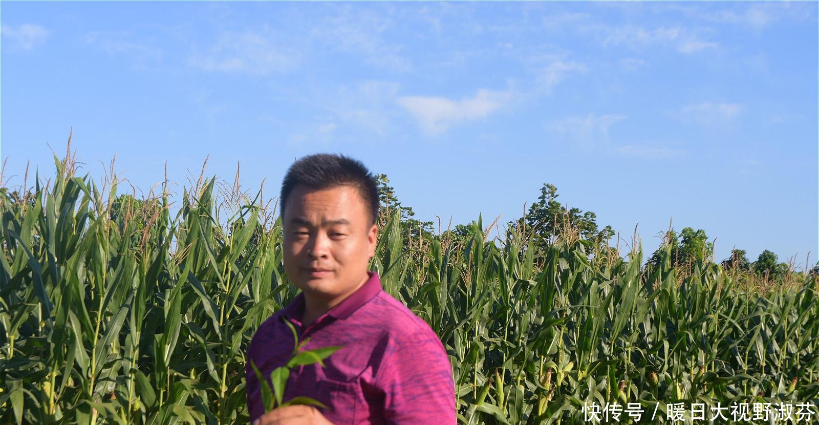  「香味」农村有种散发香味的植物，是常用中药材，野生的更值钱
