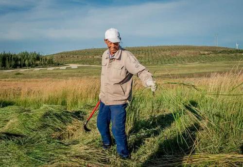  费用|2020年，农村这4笔钱不用交了，农民要享受真正的实惠了
