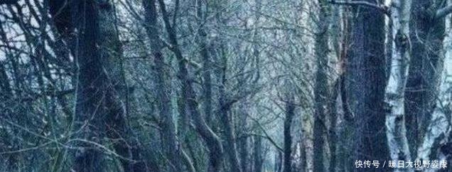  「我国」“黄泉路”出现了在我国被列为禁区，种种怪象科学都无