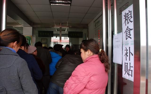 中央定调！2019年“粮补”怎么补？有答案了！