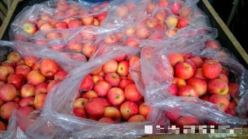  3毛■3毛一斤贱卖榨汁厂，曾经一果难求，现在一车难卖，果农都