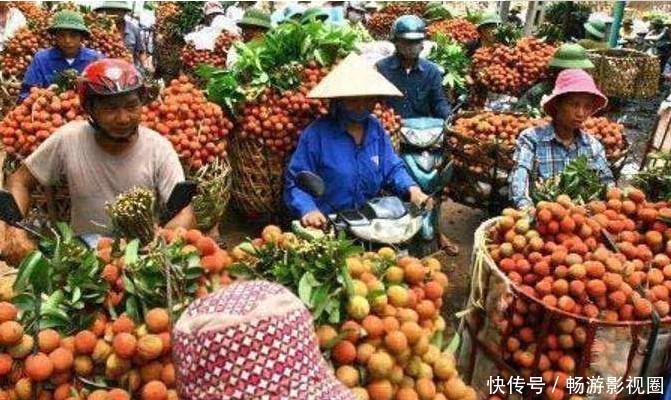 宣布对中国取消免签后,大量水果烂在地里卖不出去,付出代价太大