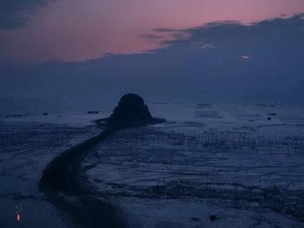 霞浦海域惊现中华白海豚，央视新闻联播都报导了