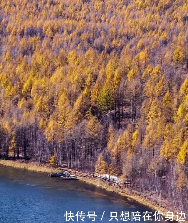 呼伦贝尔的秋天，美的太高级