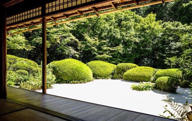 等有钱了，就造一个日式庭院，静谧悠然禅意十足，每天喝茶赏花