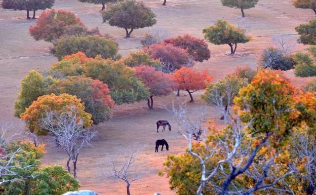专属于十月的旅行目的地 你知道几个?