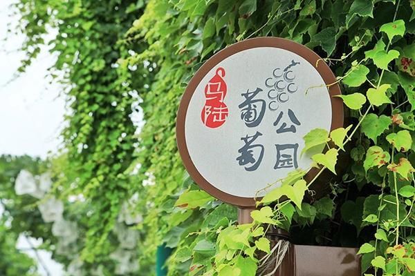 沪上“2019中国美丽休闲乡村”入选8处，你去过几个？