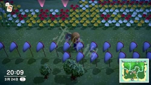 #时间#《集合啦动物森友会》种花流怎么玩 种花流玩法介绍