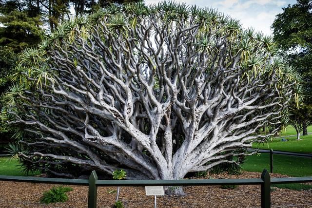 悉尼-让你找到优雅闲适的时光