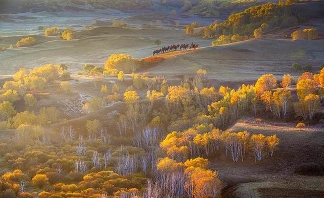 有一种美，叫秋天的乌兰布统