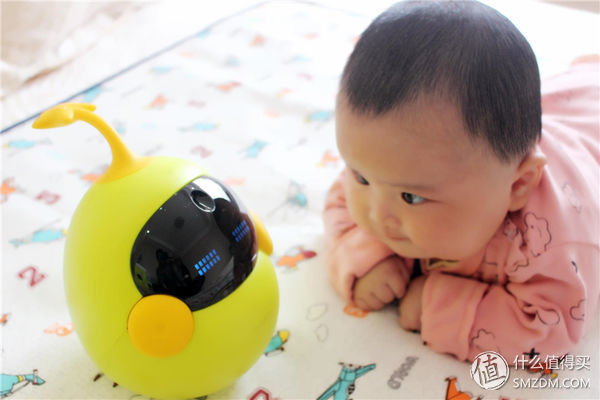 “逗”你学-布丁迷你豆评测