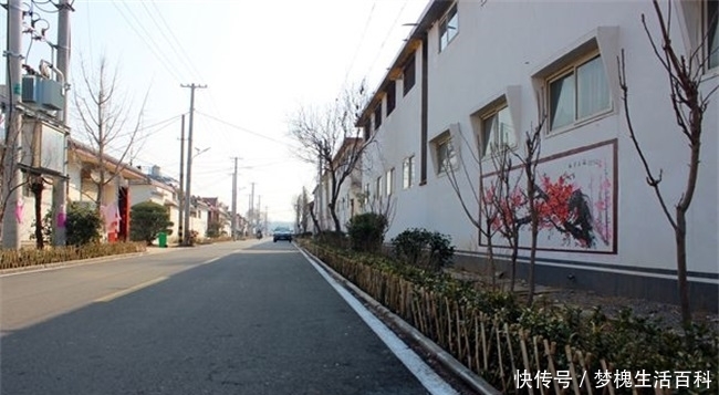 农民屋旁种菜，村干部拔掉种草，说是打造美丽乡村，怎样才算美？