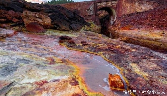 世上最“危险”的河流,外表美丽至极,人掉进去渣都不会剩