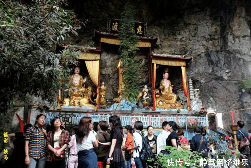 观音佛像前开出“千年宝莲花”, 终年无阳光和水, 只“保护”佛像