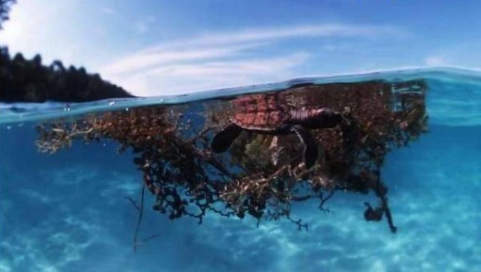 世界上有一个平静的海，却隐藏着无限杀机，埋葬了无数船只！