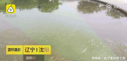 乔家大院从“5A”景区除名：你的每次坑人都在给这座城市“抹黑”